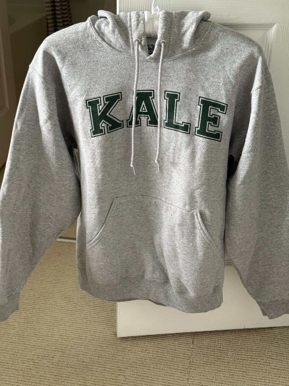 FRUIT OF THE LOOM Kale Hoodie Sweatshirt